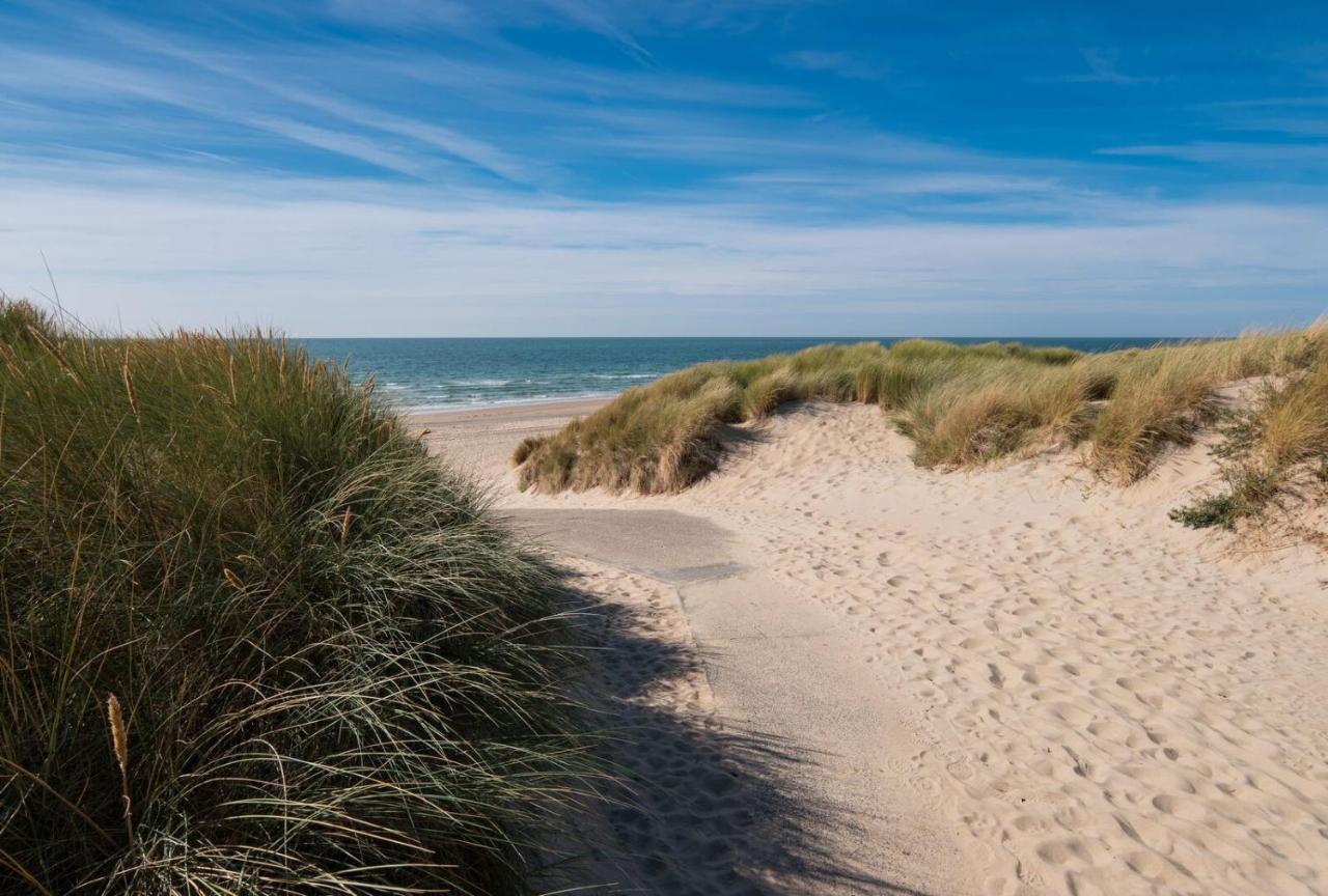 Sunny Studio - Only 5-Min Walk To Sea & Dunes Wijk aan Zee Zewnętrze zdjęcie